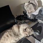 d5ac8957-149e-41ff-bbc6-c3c348c5c7c9