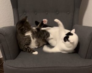 kommunikation-teil-2-2